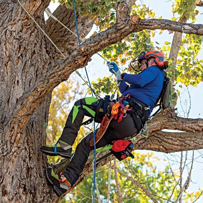 Weaver WLC-700 Saddle With Floating Bride 5 Weaver WLC-700 Saddle With Floating Bride - Image 5