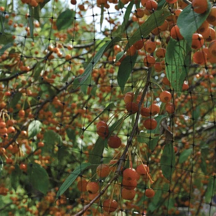 Netting 14ft X 45ft 3/4in Square Mesh Bird Control 2 Netting 14ft X 45ft 3/4in Square Mesh Bird Control - Image 2