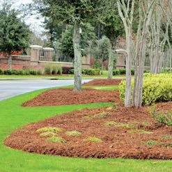 CleanStraw Premium Pine Straw Pallet Of 40 Bags -Garden And Outdoor Shop 2001 40 live resort2