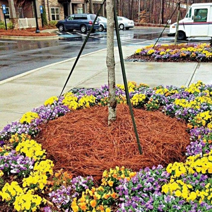 QuickStraw Premium Pine Straw 2 QuickStraw Premium Pine Straw - Image 2