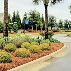 QuickStraw Premium Pine Straw 5 QuickStraw Premium Pine Straw -Garden And Outdoor Shop 2001 3