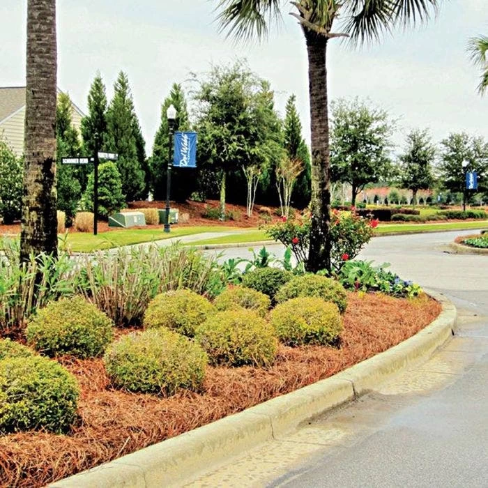 QuickStraw Premium Pine Straw 3 QuickStraw Premium Pine Straw - Image 3