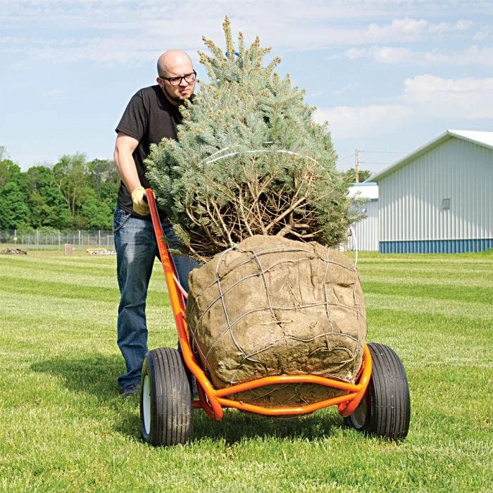 Leonard Nursery Truck Cradle Lift 1600 Lbs, Pneumatic Tires 4 Leonard Nursery Truck Cradle Lift 1600 Lbs, Pneumatic Tires - Image 4
