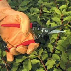 ARS Needle Nose Hand Shears, 7.5-inch Length -Garden And Outdoor Shop 300l 4 1