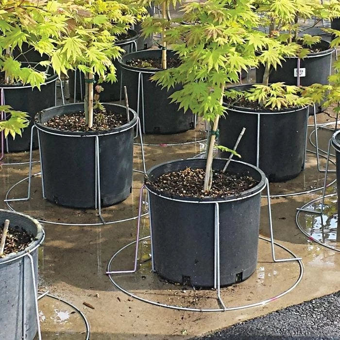 Better Bilt TopHat Plant Container Stabilizer - 7 Gallon Size 2 Better Bilt TopHat Plant Container Stabilizer - 7 Gallon Size - Image 2