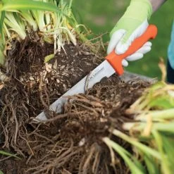 Leonard Wavy Edge Stainless Steel Cut-All Knife, 8-Inch Blade -Garden And Outdoor Shop 4041t 6