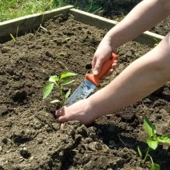 Classic Stainless Steel Soil Knife By A.M. Leonard, 6in Dual Edged Blade, Lifetime Warranty -Garden And Outdoor Shop 4750 4