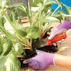 Deluxe Stainless Steel Soil Knife By A.M. Leonard, 6in Dual Edged Blade, Lifetime Warranty -Garden And Outdoor Shop 4752 4