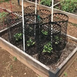 Leonard Mesh Panel Tree Guards, Pack Of 10 -Garden And Outdoor Shop 4815g 4