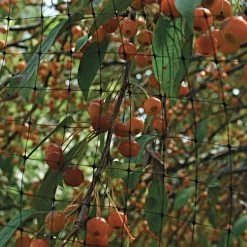 Netting, 7 Feet X 100 Feet, 3/4-Inch Square, Mesh -Garden And Outdoor Shop 725pn 2