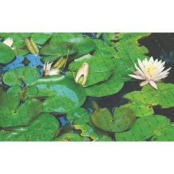 Netting, 7 Feet X 100 Feet, 3/4-Inch Square, Mesh -Garden And Outdoor Shop 725pn pond