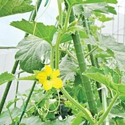 Knotty Takiron Green Steel Stakes, 3/8" X 4', Bundle Of 10 -Garden And Outdoor Shop 84tsk 4