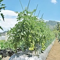 Knotty Takiron Green Steel Stakes, 3/8" X 4', Bundle Of 10 -Garden And Outdoor Shop 84tsk 5