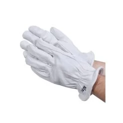Goatskin Glove Unlined Men's LG
