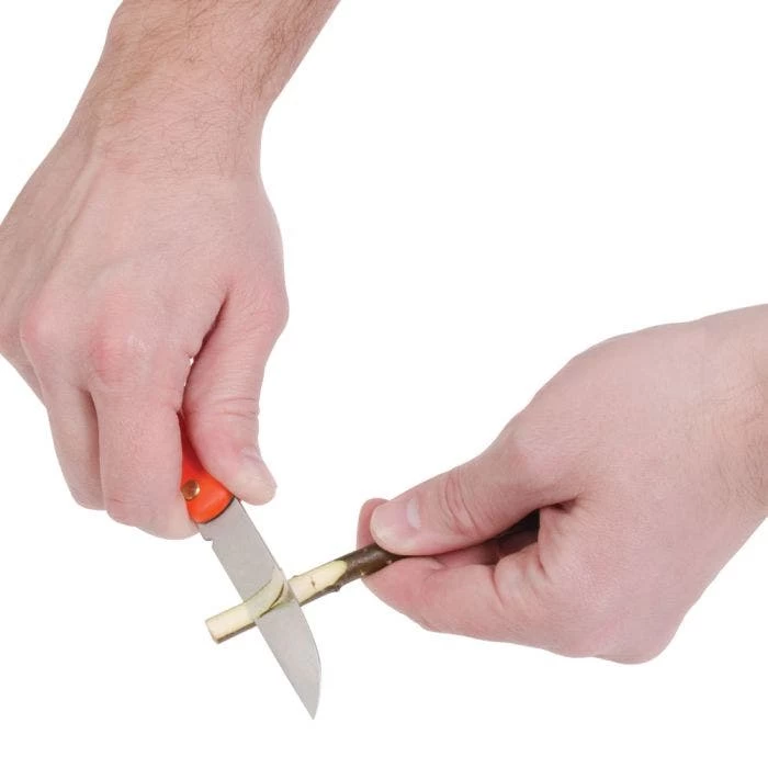 Leonard Folding Grafting Knife ABS Handle 4 Leonard Folding Grafting Knife ABS Handle - Image 4