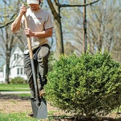 Leonard Classic Full-Strap Spade, Straight Handle 7 Leonard Classic Full-Strap Spade, Straight Handle -Garden And Outdoor Shop a13ml 3