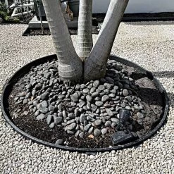 Leonard Lumber Edge Landscape Edging Kits, Black 5 Leonard Lumber Edge Landscape Edging Kits, Black -Garden And Outdoor Shop a1430bl live