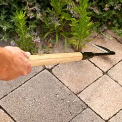 Leonard Cape Cod Weeder With Extended Handle -Garden And Outdoor Shop acw24 3 1