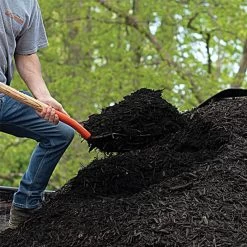 Leonard 10-Tine Forged Steel Scoop Fork With 48-Inch Straight Handle -Garden And Outdoor Shop amf10l 5 1