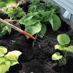 Leonard 6 Tine Forged Steel Manure Fork With 30 Inch D Grip Handle 10 Leonard 6 Tine Forged Steel Manure Fork With 30 Inch D Grip Handle -Garden And Outdoor Shop amf6d 4