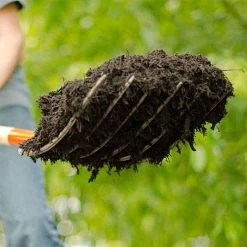 Leonard 6 Tine Forged Steel Manure Fork With 30 Inch D Grip Handle 11 Leonard 6 Tine Forged Steel Manure Fork With 30 Inch D Grip Handle -Garden And Outdoor Shop amf6d 5