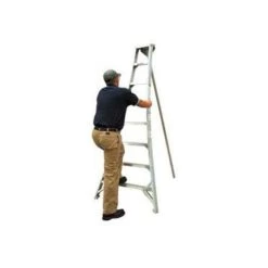 Tallman 10-Foot Tripod Orchard Ladder