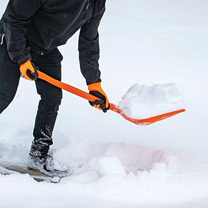 Leonard 10 Inch All Poly Scoop Shovel With D Grip Handle 9 Leonard 10 Inch All Poly Scoop Shovel With D Grip Handle - Image 9