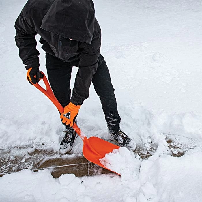 Leonard 10 Inch All Poly Scoop Shovel With D Grip Handle 8 Leonard 10 Inch All Poly Scoop Shovel With D Grip Handle - Image 8