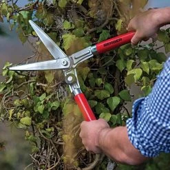 Berger Compact Precision Topiary Shear With Wooden Handles 7 Berger Compact Precision Topiary Shear With Wooden Handles -Garden And Outdoor Shop b2510 live2