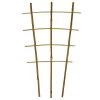 Bamboo Trellis Ladder/Fan, 24-Inch Height, Bundle Of 50