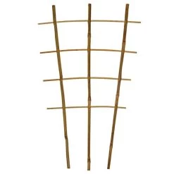 Bamboo Trellis Ladder/Fan, 24-Inch Height, Bundle Of 50