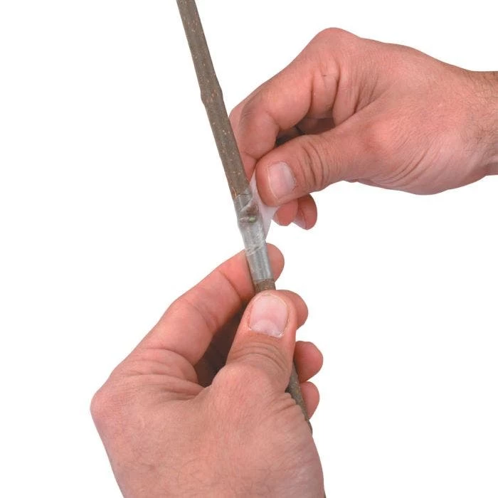 Budding Tape Perforated 1" X 2-3/4" X 192' 3 Budding Tape Perforated 1" X 2-3/4" X 192' - Image 3