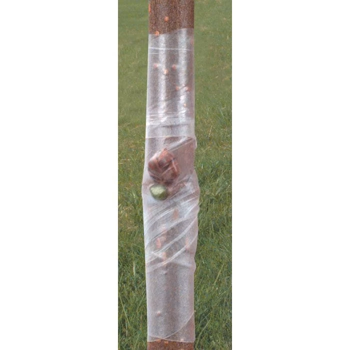 Budding Tape Perforated 1" X 2-3/4" X 192' 4 Budding Tape Perforated 1" X 2-3/4" X 192' - Image 4