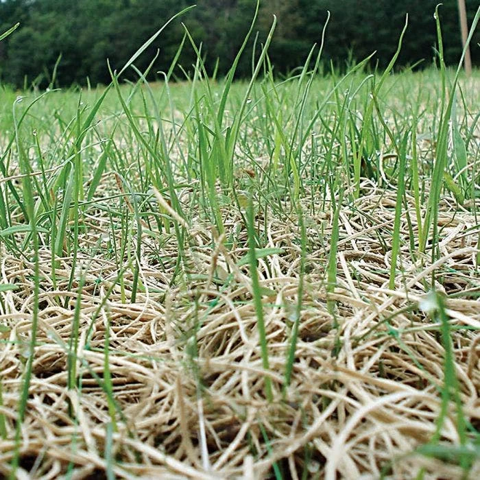 Curlex I Erosion Control Fabric Single Netting Green, 8 Feet X 112-1/2 Feet 3 Curlex I Erosion Control Fabric Single Netting Green, 8 Feet X 112-1/2 Feet - Image 3