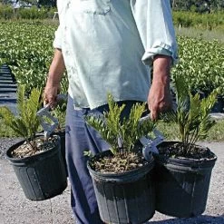 Large Can Handler -Garden And Outdoor Shop can2 2