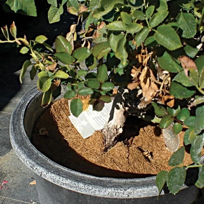 Coco Weed Guards, 37-Centimeter Diameter, Case Of 50 4 Coco Weed Guards, 37-Centimeter Diameter, Case Of 50 - Image 4