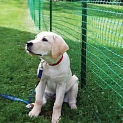 Standard Strength Pet Fence, 4ft X 330ft -Garden And Outdoor Shop cn433 2