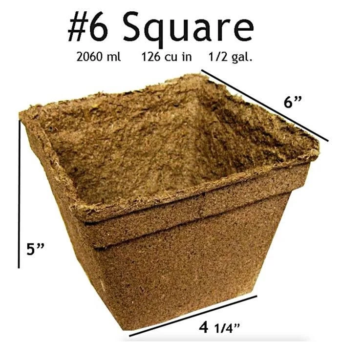 CowPots, #6 Square Pots, Case Of 108 2 CowPots, #6 Square Pots, Case Of 108 - Image 2