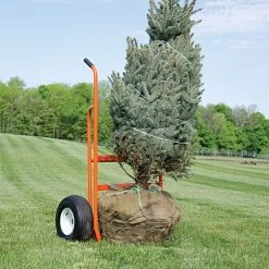 Leonard Nursery Truck Cradle Lift 1600 Lbs, Flat-Free Tires 12 Leonard Nursery Truck Cradle Lift 1600 Lbs, Flat-Free Tires -Garden And Outdoor Shop f22le 5 1