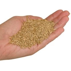 Fairlawn Blue And Rye Mix, 25 Lb Bag -Garden And Outdoor Shop fair25 2 1