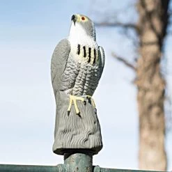 Bird-X Falcon Decoy 7 Bird-X Falcon Decoy -Garden And Outdoor Shop falcon 3