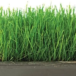 Fairlawn Shade Mix, 25 Lb Bag -Garden And Outdoor Shop flsh25 2 1