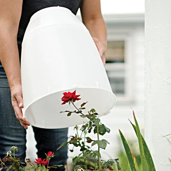 Frost Guard 5 Frost Guard - Image 5