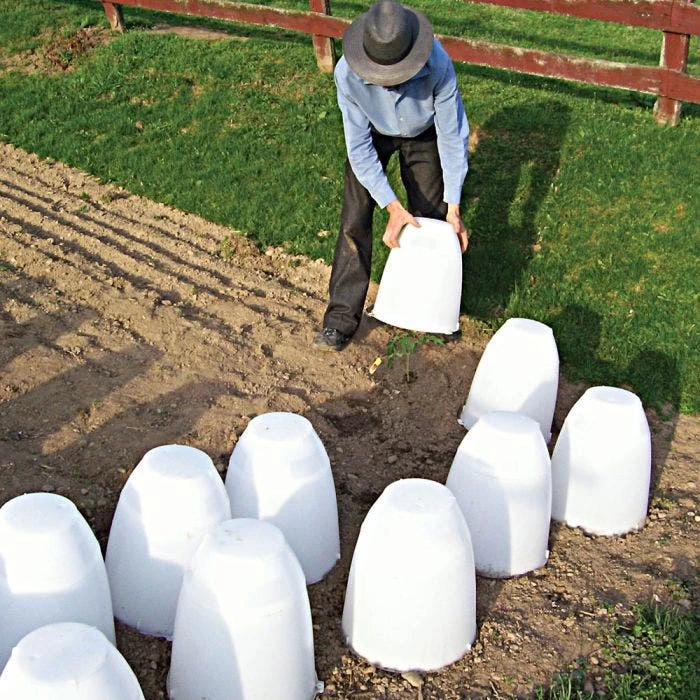 Frost Guard 8 Frost Guard - Image 8