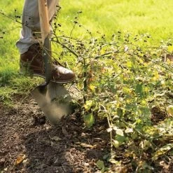 Leonard Forged Round Point Shovel With 48in Ash Handle -Garden And Outdoor Shop fw4 3