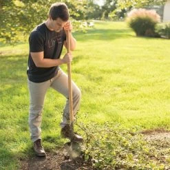 Leonard Forged Round Point Shovel With 48in Ash Handle -Garden And Outdoor Shop fw4 4
