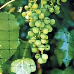 Heavy Duty Net, 14ft X 50ft 6 Heavy Duty Net, 14ft X 50ft -Garden And Outdoor Shop hdn145 2