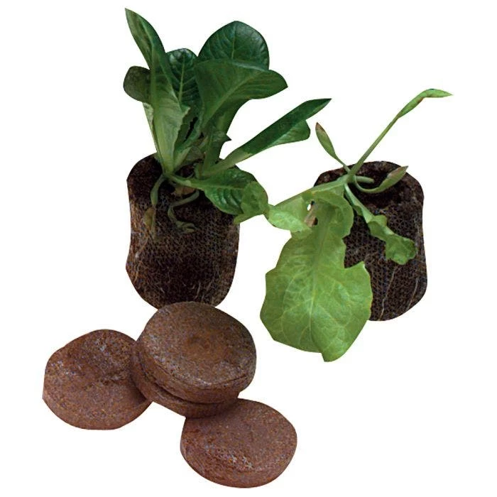 Jiffy 7 Peat Pellet Prespaced In Trays 1 Jiffy 7 Peat Pellet Prespaced In Trays