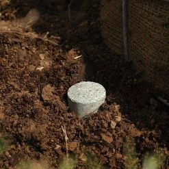 Leonard Fertilizer Tablets For Tree Planting 20-10-5 Controlled Release 24 Months 5 Grams -Garden And Outdoor Shop lpt5 4