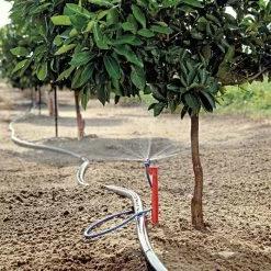 Maxijet Irrigation Ag Spray Stake Assembly, 12ft Diameter, Package Of 25 -Garden And Outdoor Shop max36 citrus fieldshot 1